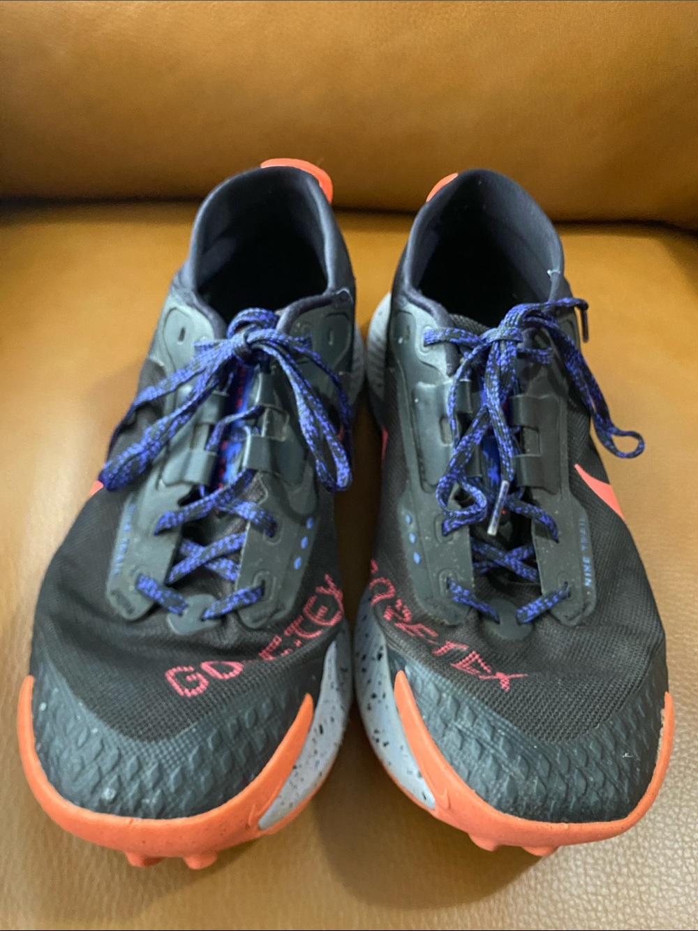Nike Pegasus trail running shoes Goretex size 11